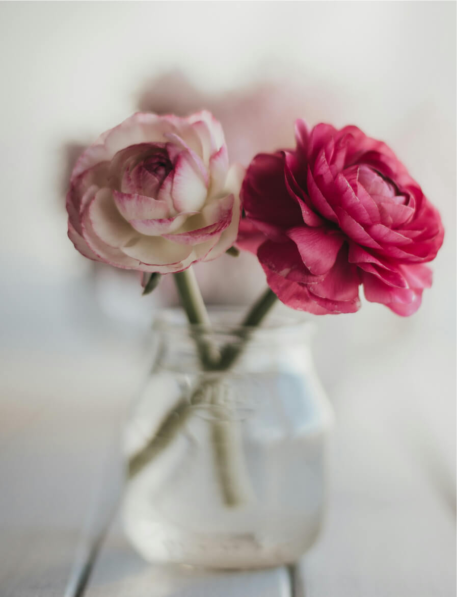 our-vision-idealized img